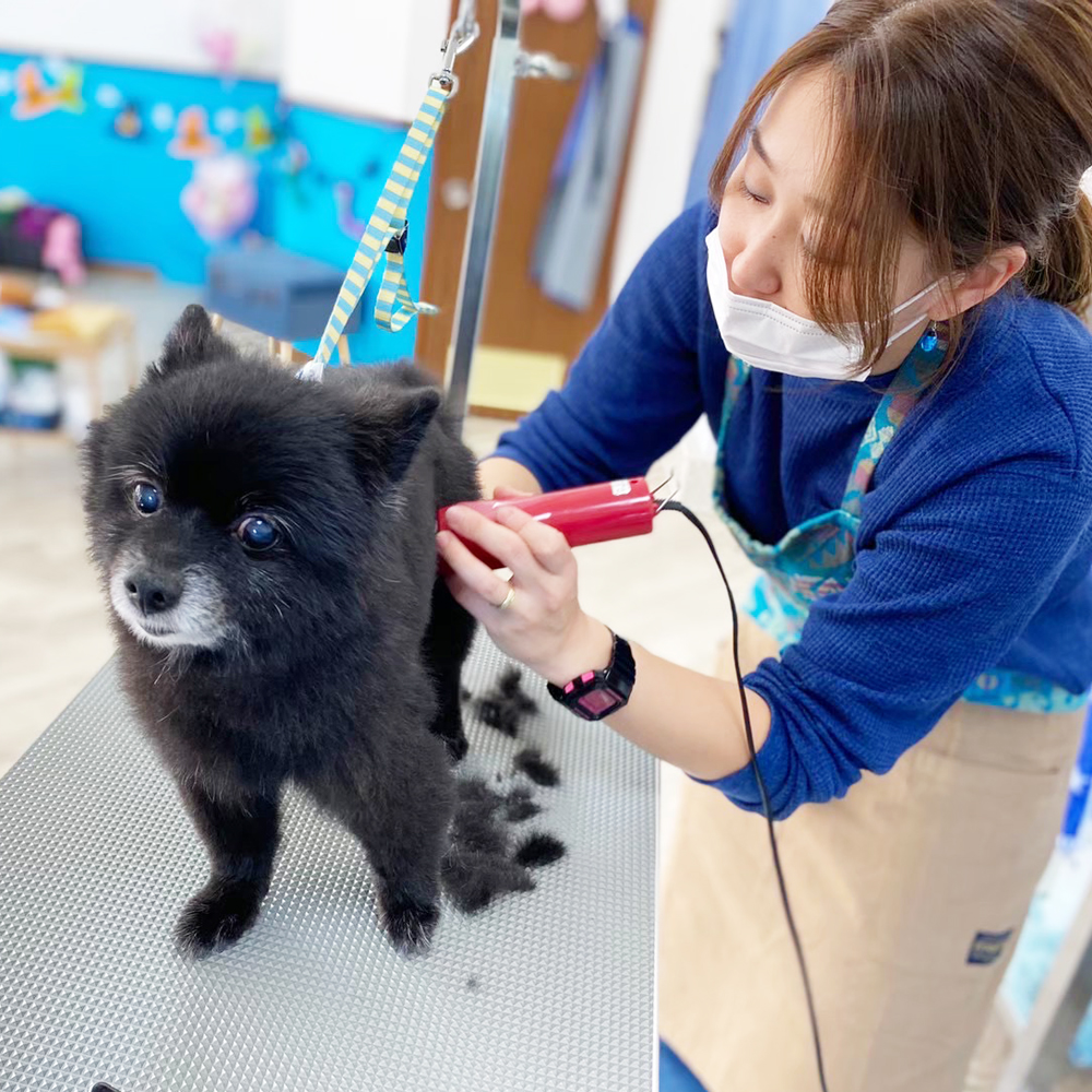 お店を開業した卒業生へインタビュー♪